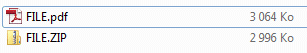 ZIP File in ABAP Result
