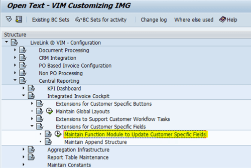 Maintain Function Module to Update Customer Specific Field