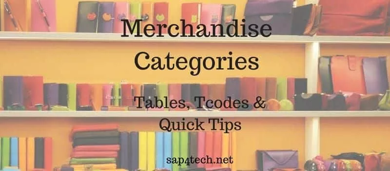 SAP Merchandise Categories