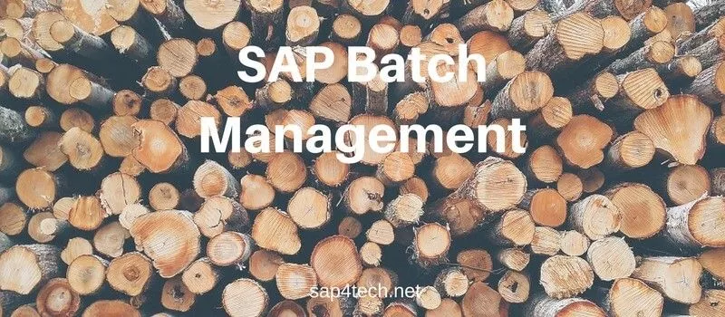 SAP Batch Management 1